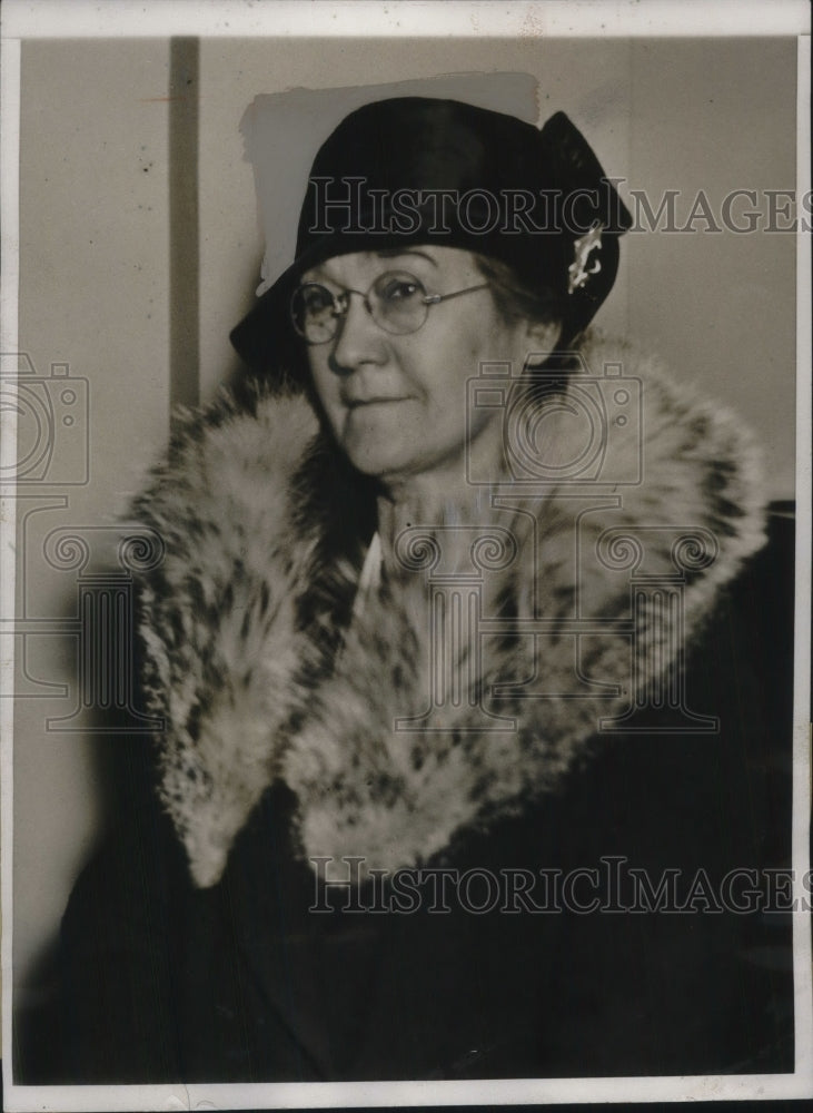 1933 Press Photo Mrs Dabiel C Roper of S.C., wife of Sec of Commerce-Historic Images