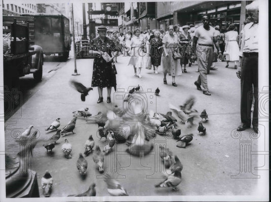 1955 Chicago, Madison & State Streets, a host of pigeons  - Historic Images