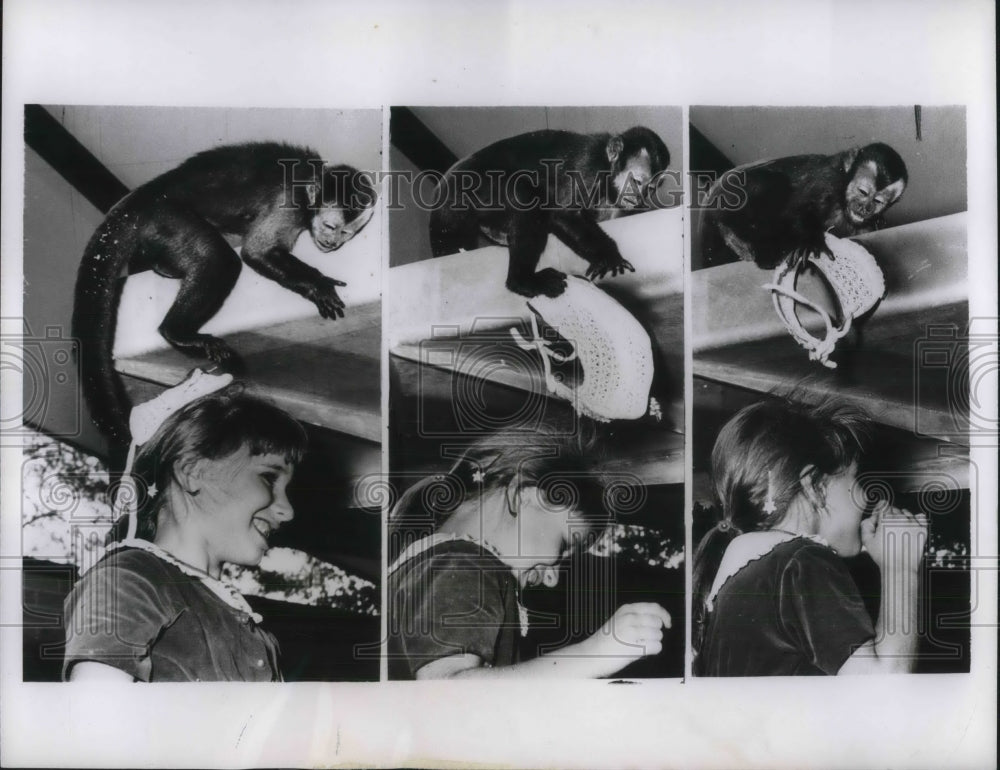 1959 Chicago, Lincoln Park zoo chimp Chico  - Historic Images