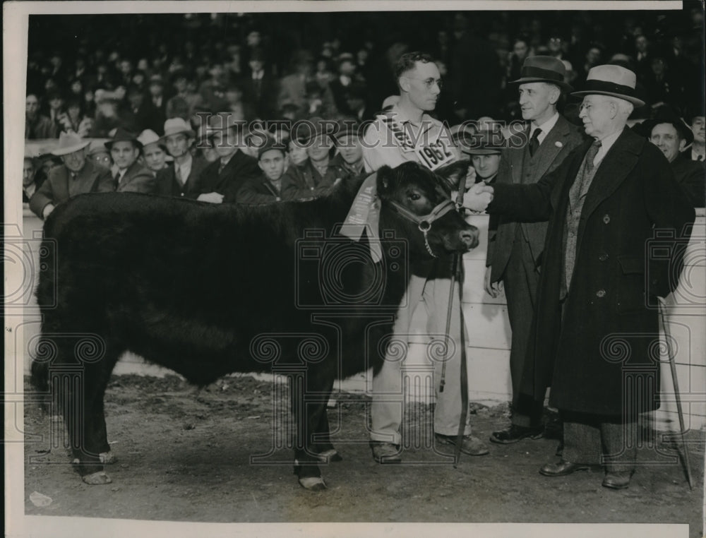 1936 Press Photo G Page &amp; angus steer at Chicago International Livestock expo-Historic Images