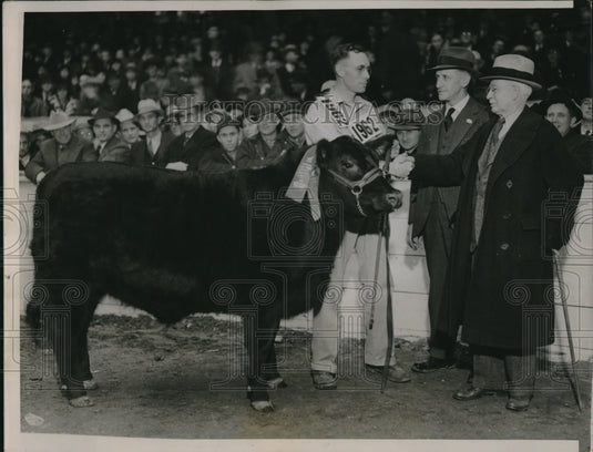 1936 Press Photo G Page & angus steer at Chicago International Livestock expo-Historic Images