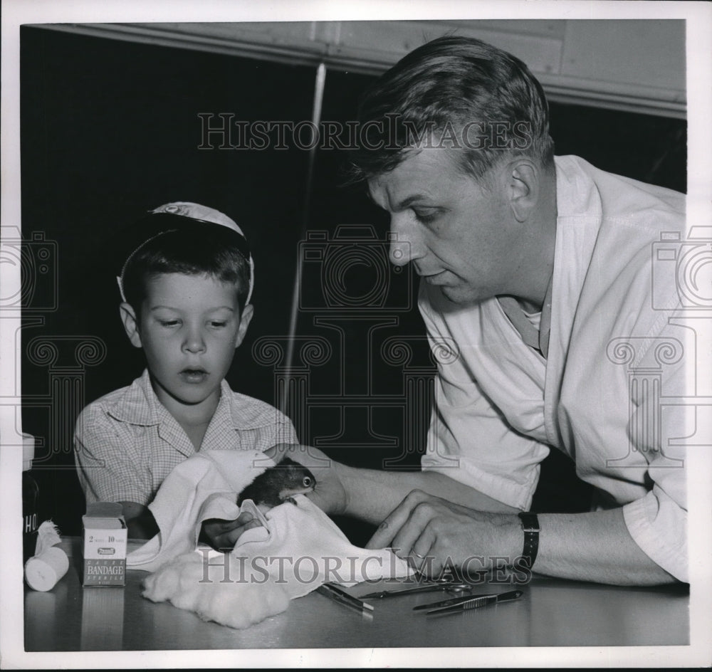 1954 Press Photo Pet Squirrel &quot;Brownie&quot; &amp; Rick Bell Age 6 &amp; Vet Dr Richard Hill-Historic Images