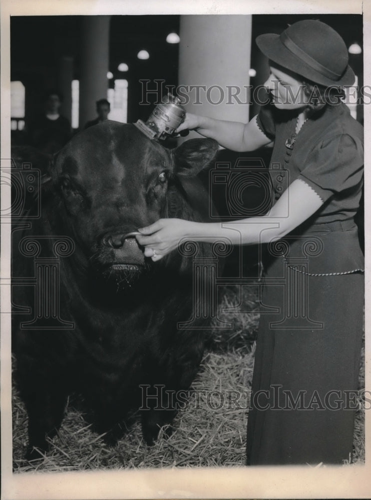 1937 Press Photo Inez Macha using electric clipper on an Aberdeen Angus - Historic Images
