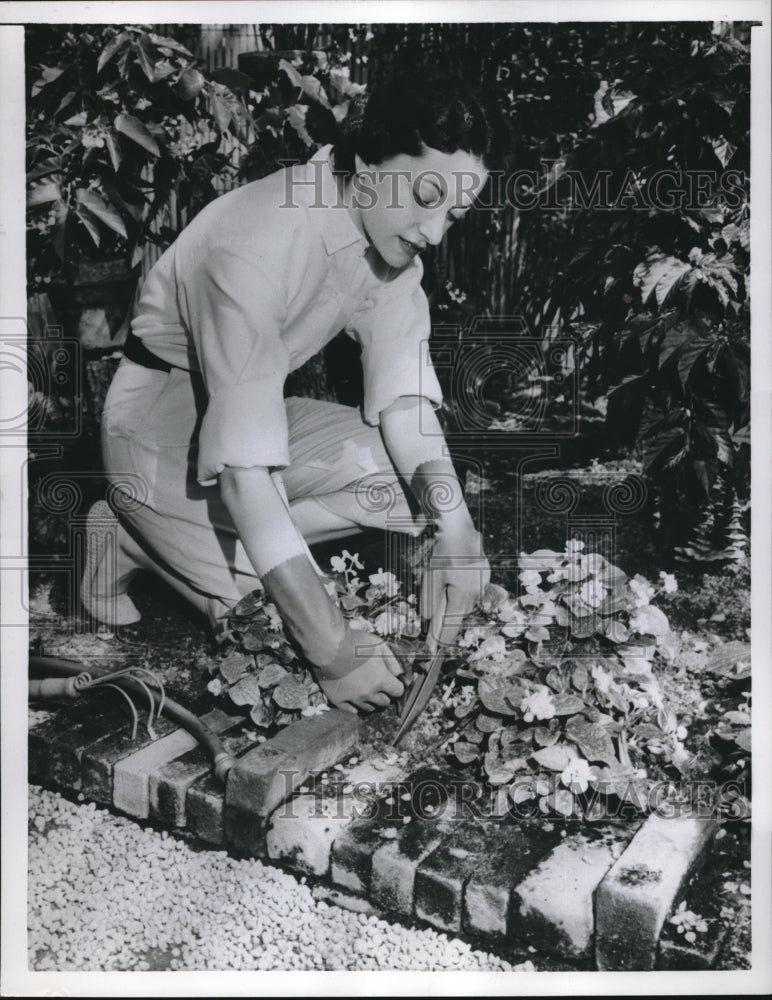 1956 Summer Gardening Wearing Cotton Lined Gloves - Historic Images