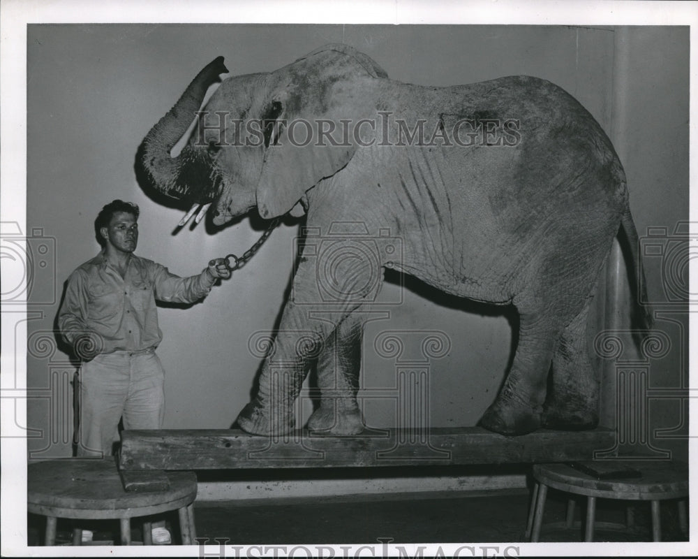 1957 Press Photo Simba, The Elephant Walks the Plank-Historic Images