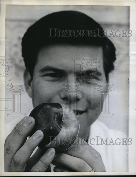 1962 Press Photo Bob Pavlovich holding a half yellow & half red apple - Historic Images