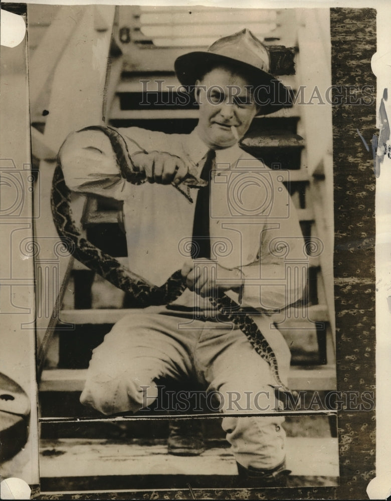 1932 Press Photo Douglas March holding a Fer de lance - Historic Images