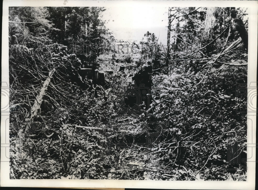 1941 Army Engineers in Alaska to construct an airport runway - Historic Images