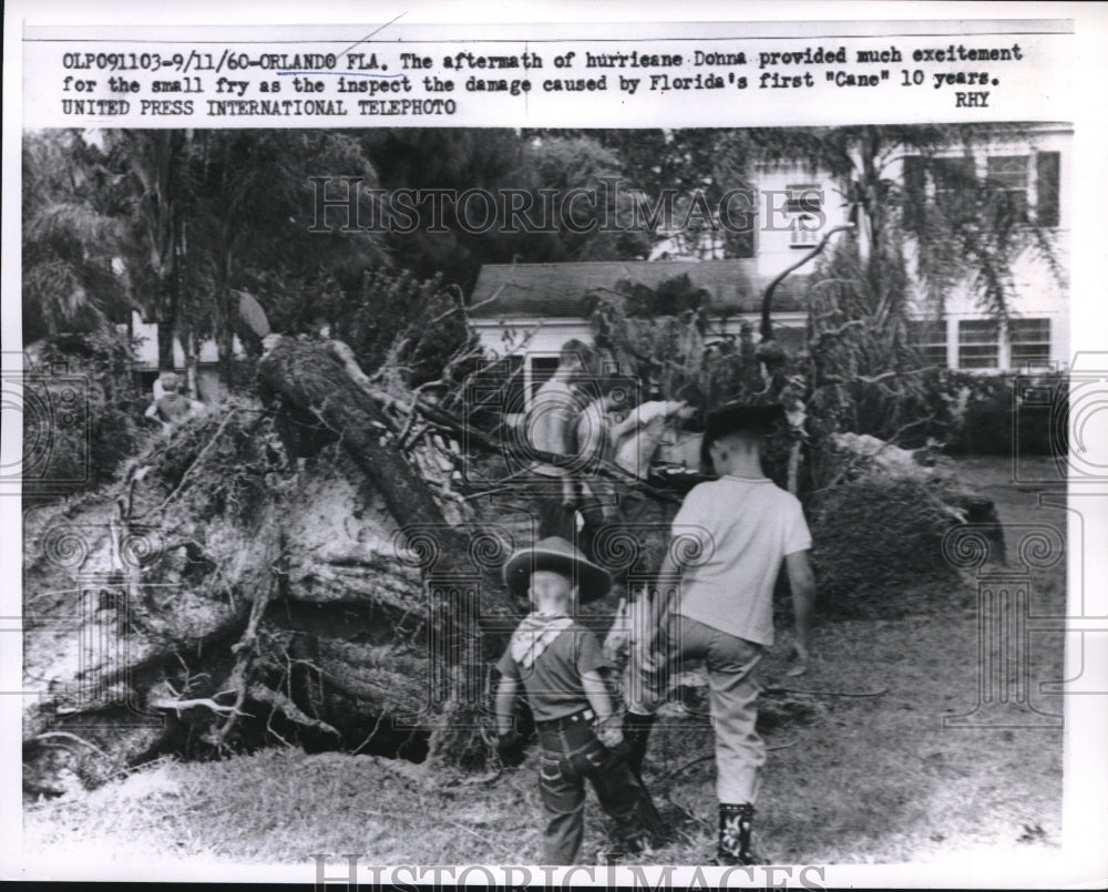 1960 Press Photo Young boys examining an uprooted tree caused by hurricane Donna - Historic Images