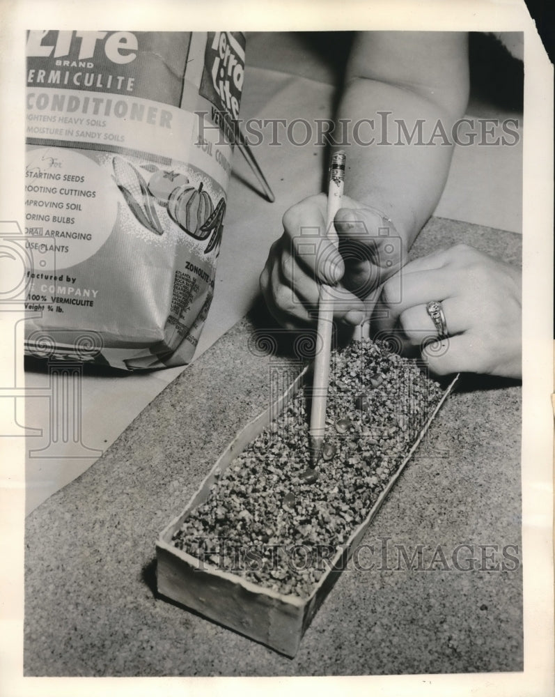 1960 Milk Cartons Are Excellent For Starting Seeds - Historic Images