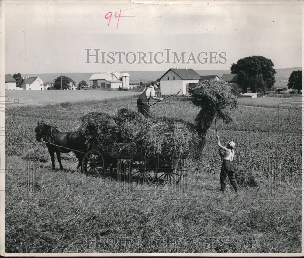 1957 Haying - Historic Images