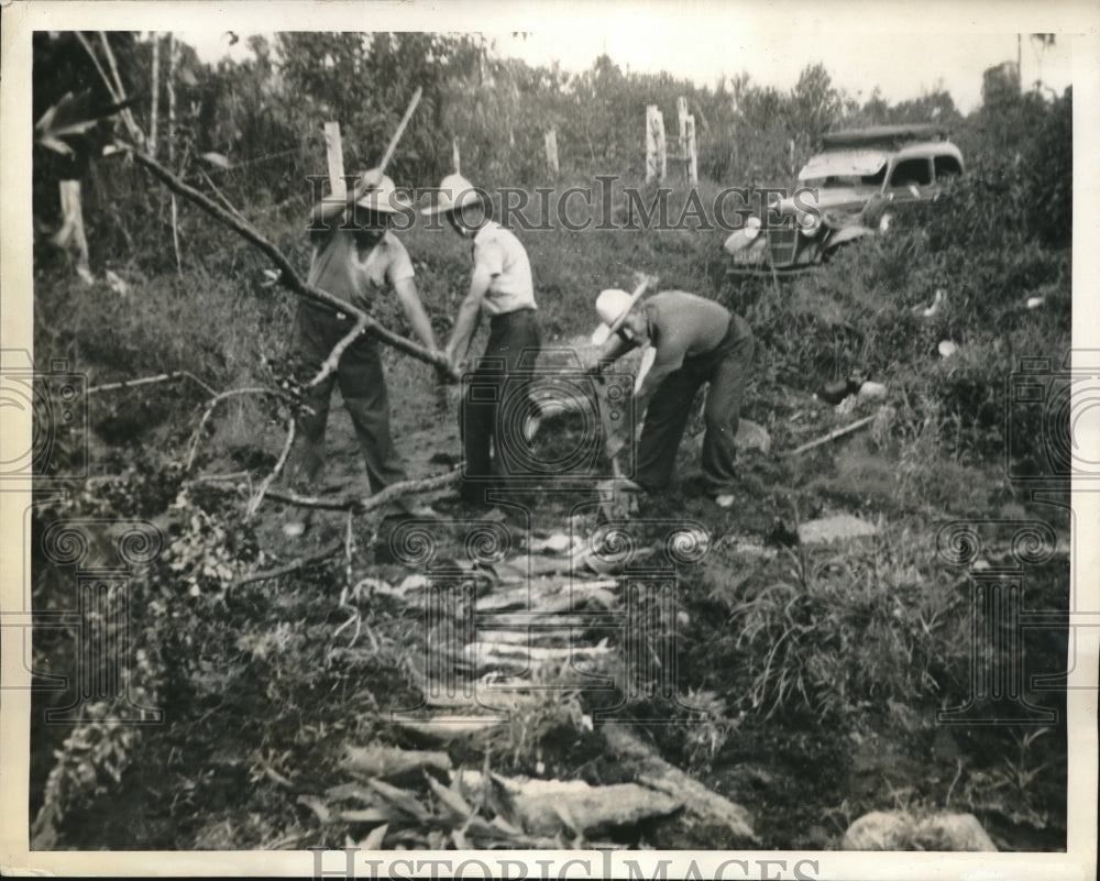 1941 Brothers Building a Road to Drive to Buenos - Historic Images