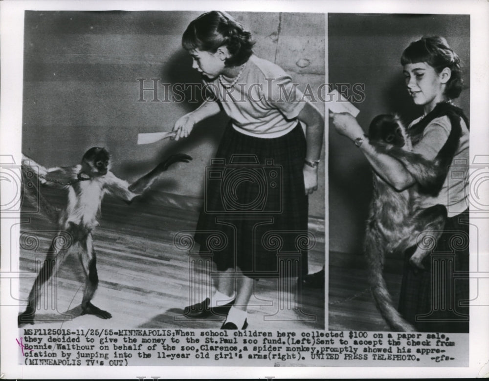 1955 Student Bonnie Walthour Gives Check to Spider Monkey - Historic Images