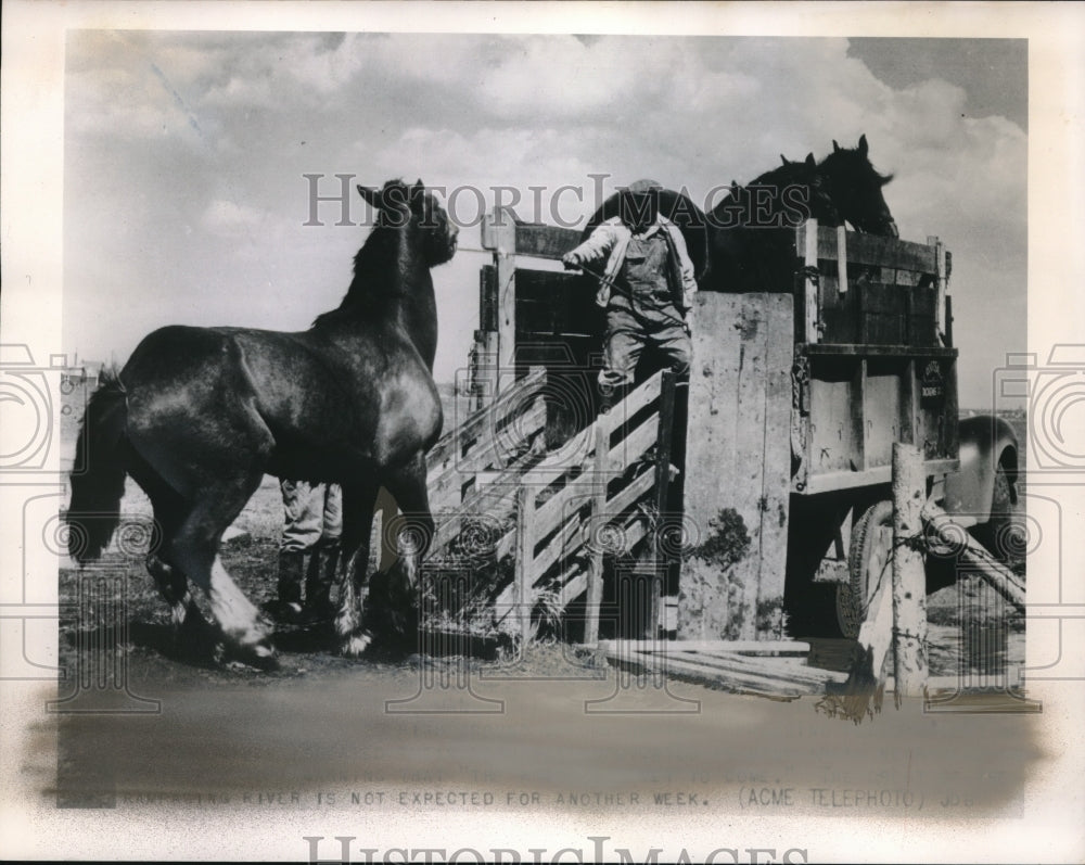 1950 Canada Flood - Historic Images