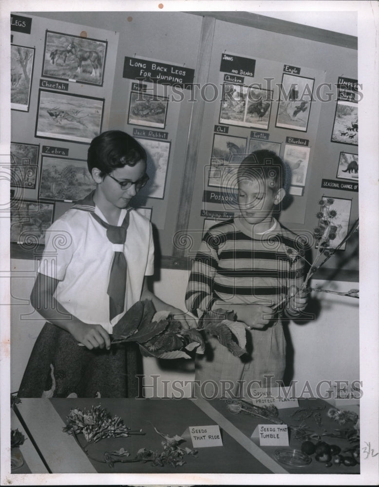 1956 Press Photo Franklin School Science Fair Students Diane Sikula Joe Kaiser - Historic Images