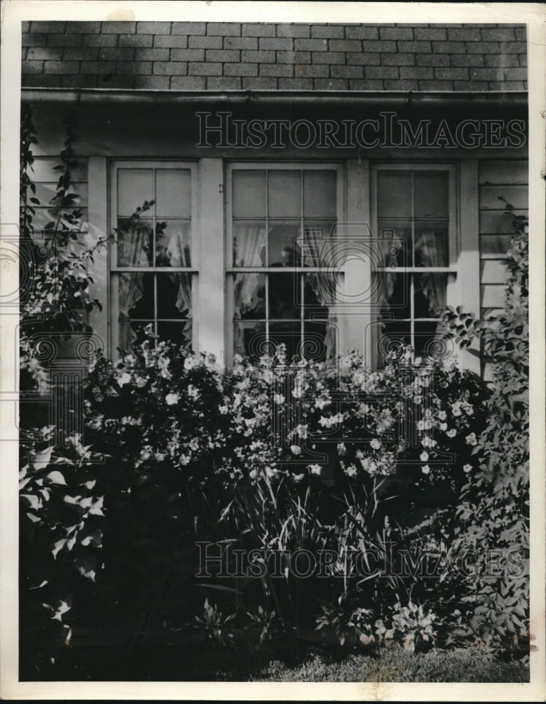 1946 Window of Home with Flowers in Front - Historic Images