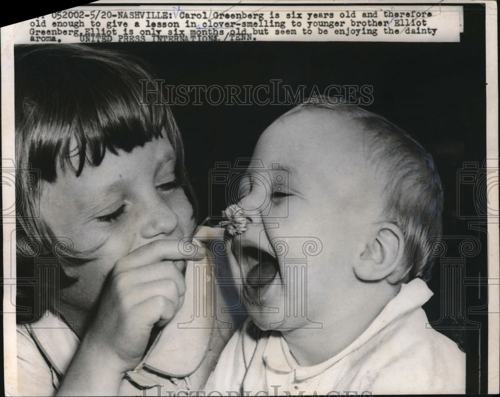 1959 Press Photo Carol Greeberg give a lesson in clover smelling to his brother - Historic Images