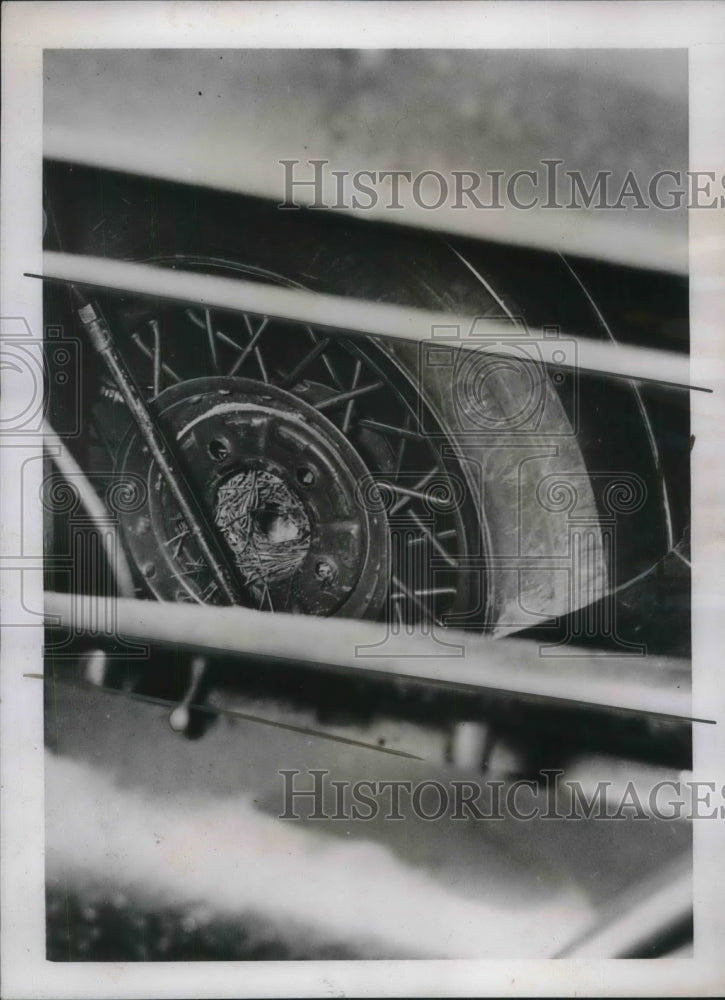 1937 Press Photo Wren Birds Keep House In Hub Of Auto Wheel By Building Nest-Historic Images