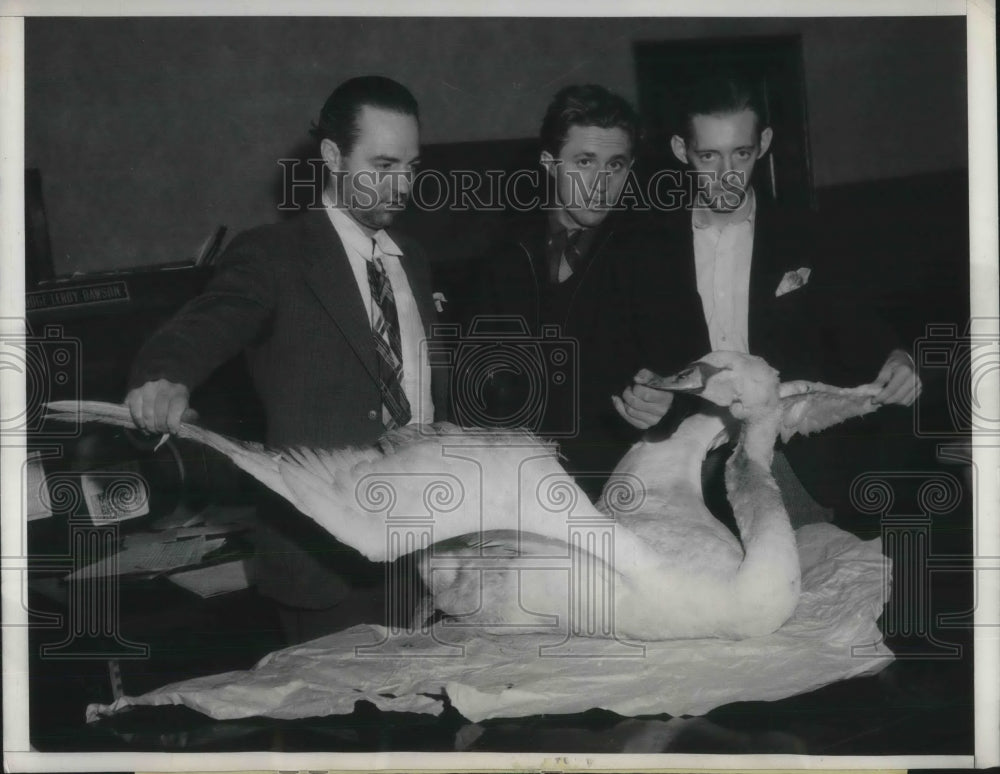 1936 Press Photo Everett Williams in Court for Killing a Swan - Historic Images