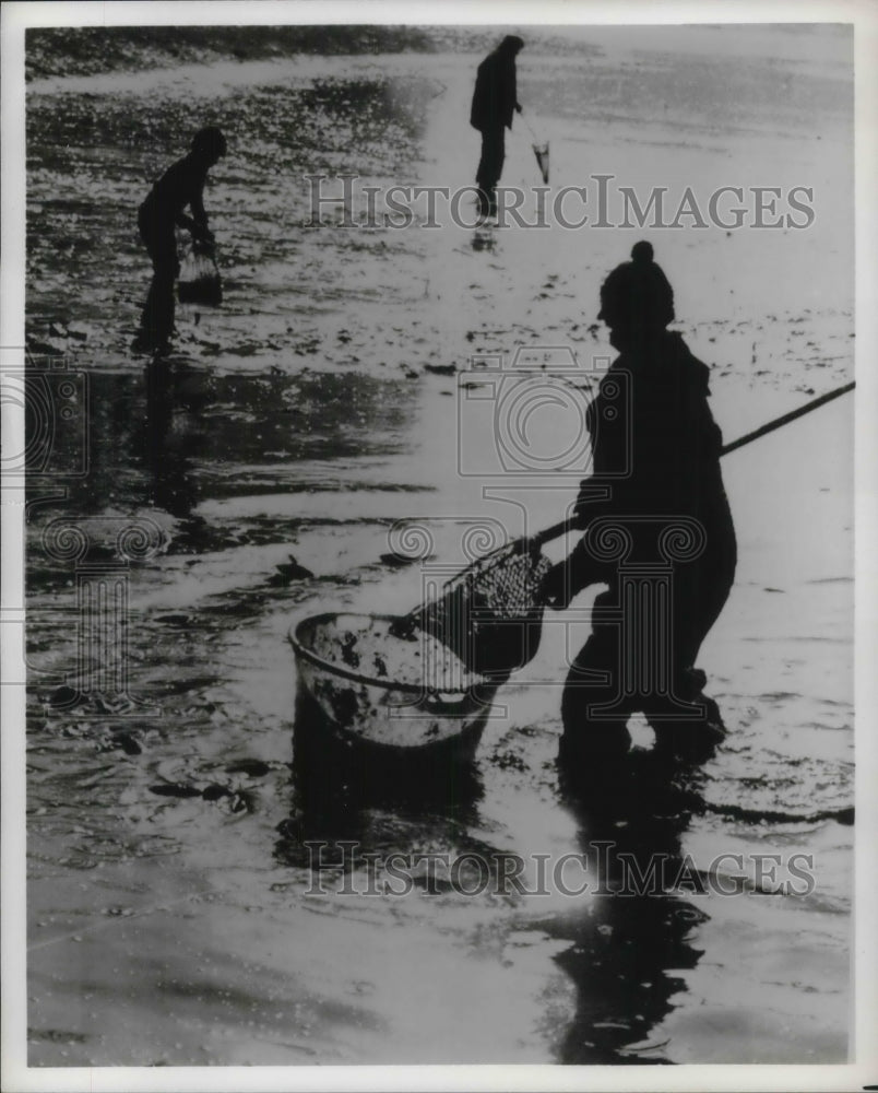 Press Photo Three Silhouettes in Water Fishing - Historic Images