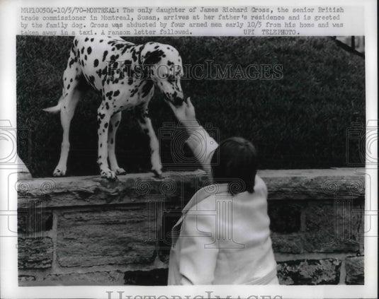 1970 Abducted Brit Commissioner James Cross Daughter Huge Dalmation - Historic Images