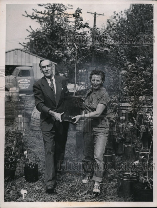 1959 Press Photo R. M. Rossell Purchases Tree From Rose Crest Nursery - Historic Images
