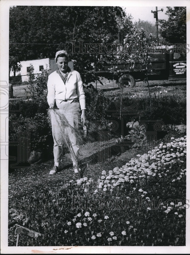 1953 Mrs Grace Kohler Waters Flowers At Rose Crest Nursery In Ohio - Historic Images