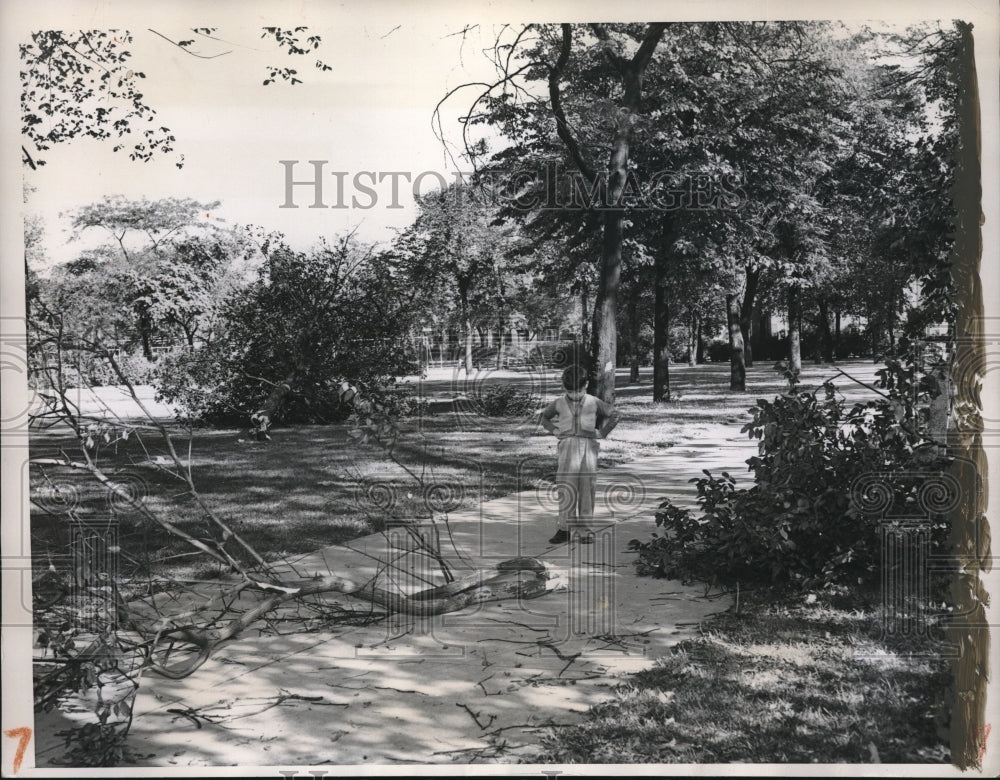 1949 Press Photo 5 yr old Junior Barlow surveys damage at a Chicago Park - Historic Images