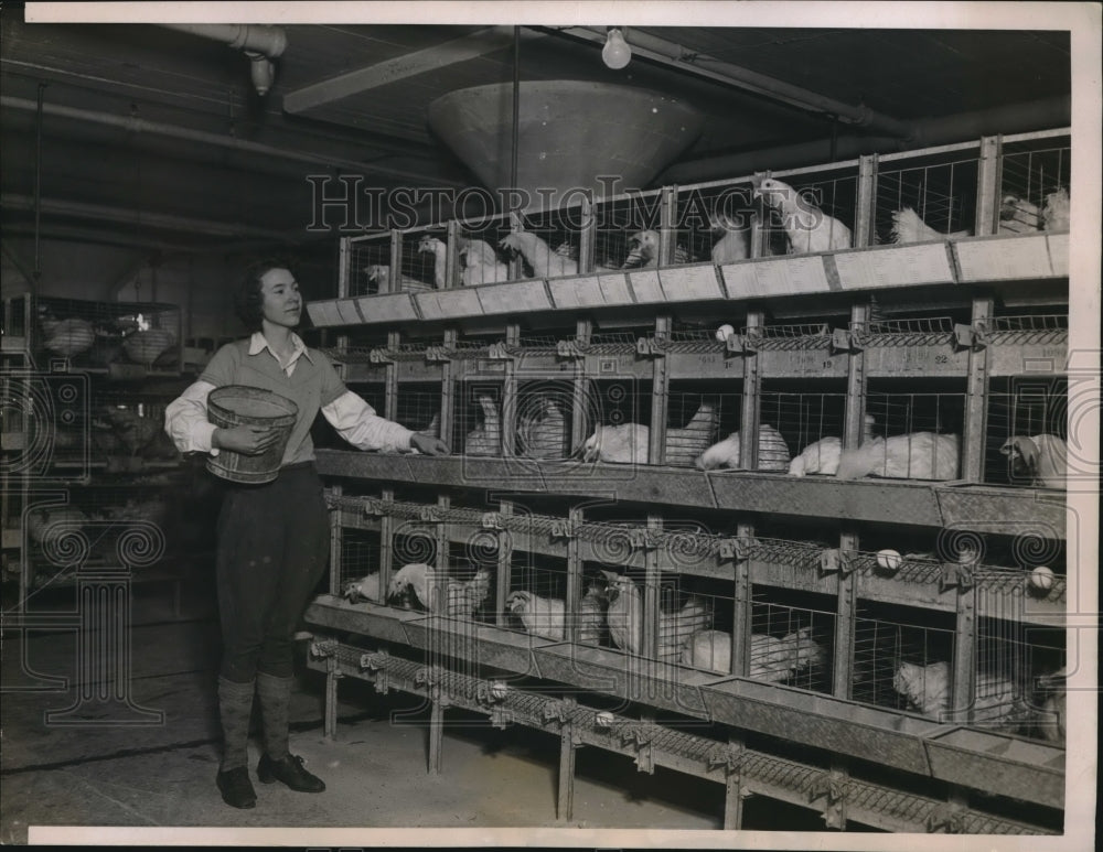 1937 Press Photo 8000 chickens live close to the Loop, and produce 4,000 eggs - Historic Images
