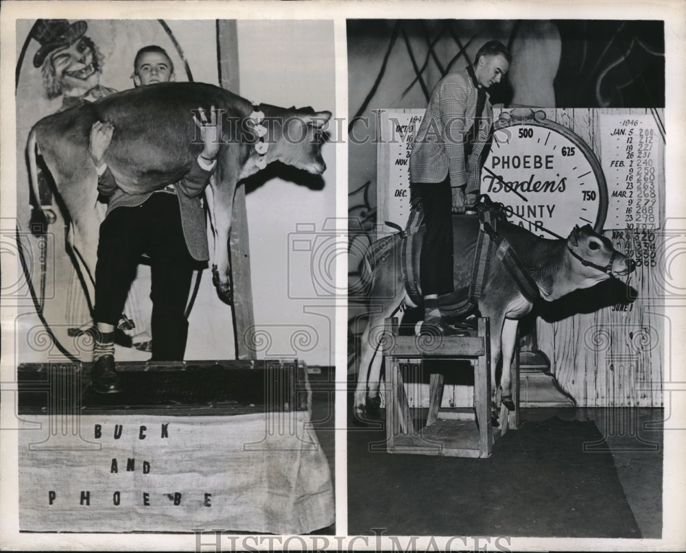 1946 Press Photo Allen LaFever Weighs Phoebe On Country Fair - Historic Images