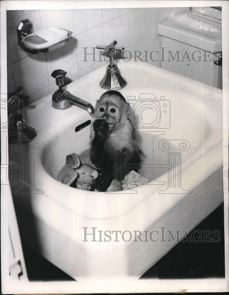 1950 Pancho scrub while taking a bath in the wash basin - Historic Images