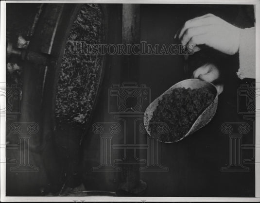 1937 Press Photo Powdered Liguici "hydrolized wood" - Historic Images
