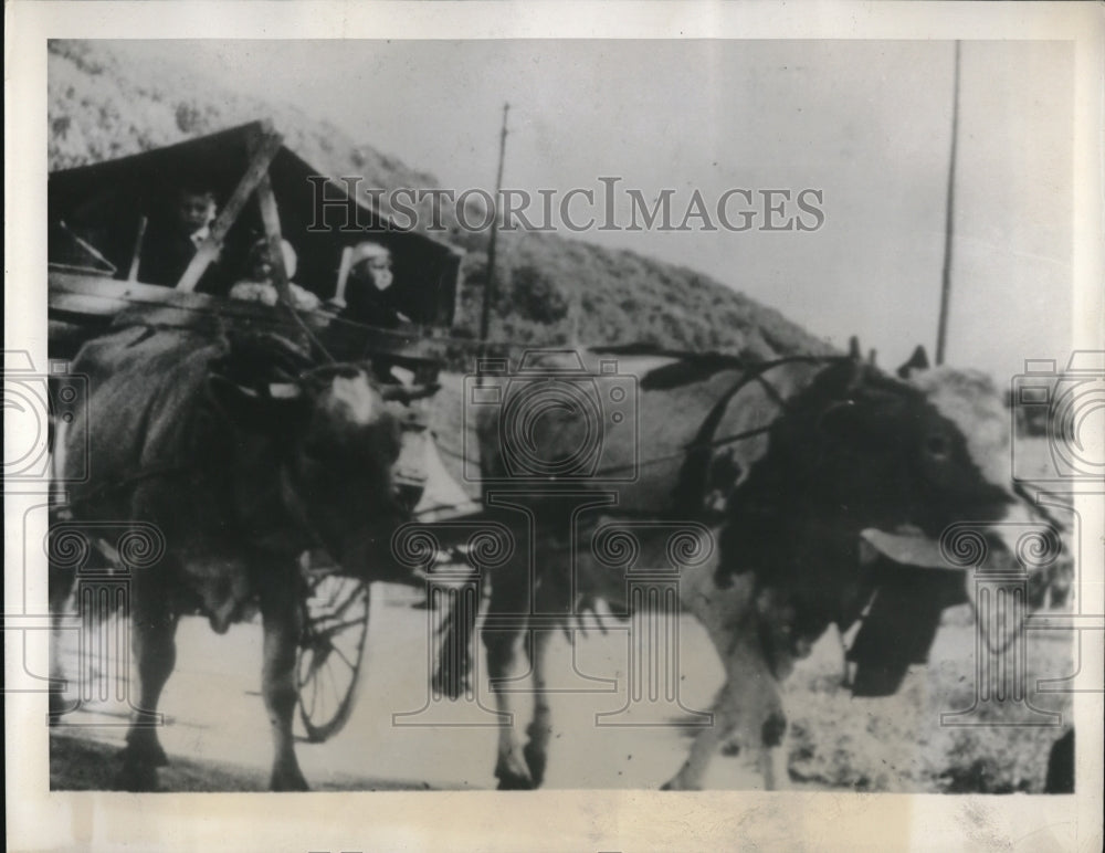 1939 French Peasants Evacuate War Zone - Historic Images