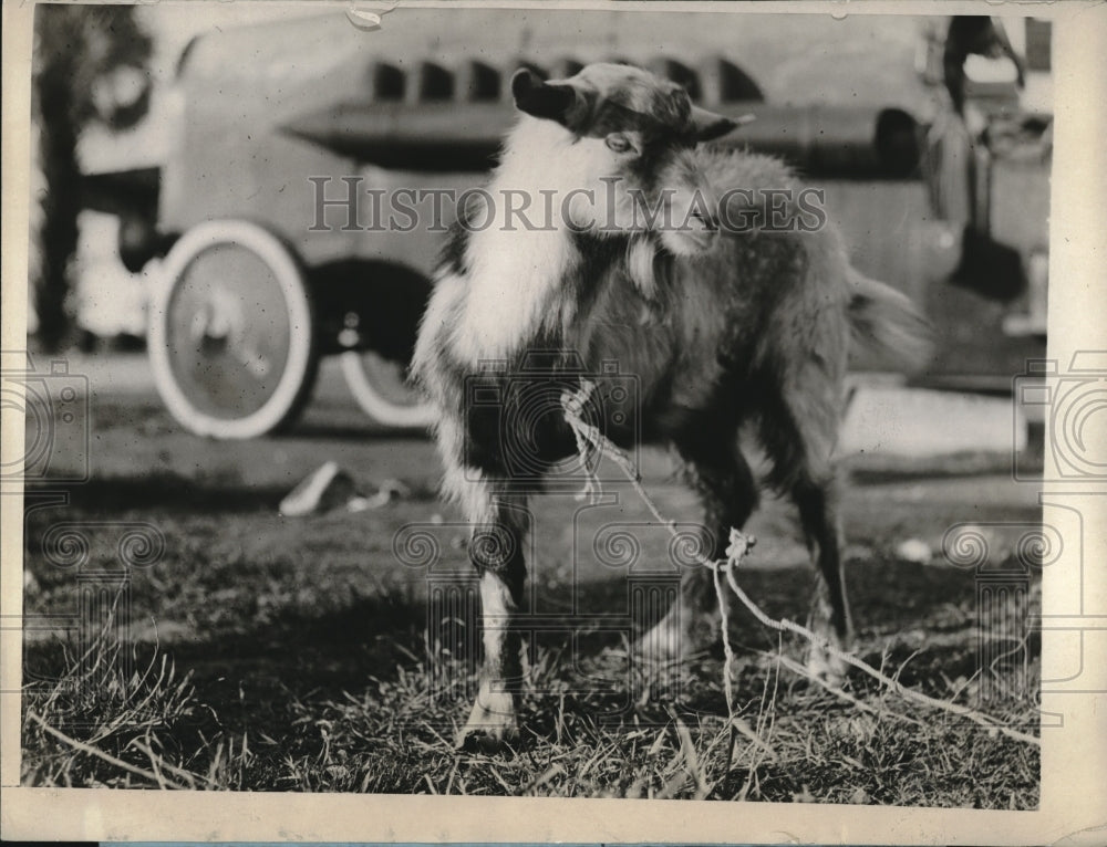 1927 Three - Historic Images