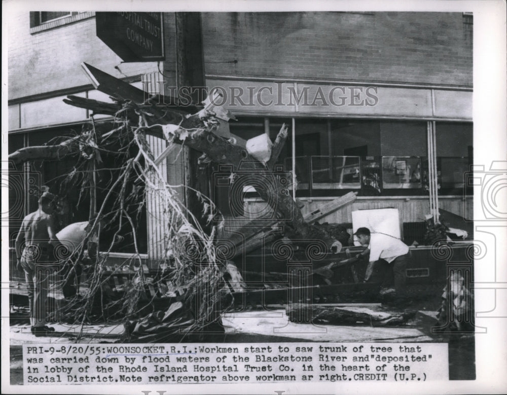 1955 Tree is at Rhode Island Hospital Trust Comp Due to Flood - Historic Images