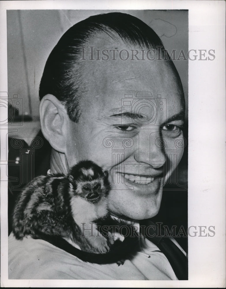 1957 Press Photo Marmoset monkey on the shoulder of Airline employee Roy Chapman - Historic Images