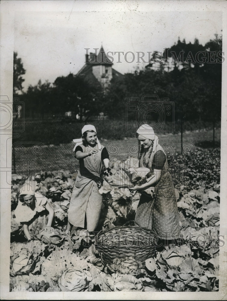 1934 Young German Girls Happy In Field Despite Compulsory Farming - Historic Images