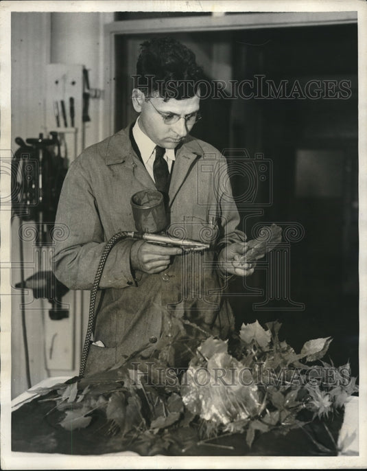 1931 Press Photo Natural Museums, Earl G. Wright - Historic Images