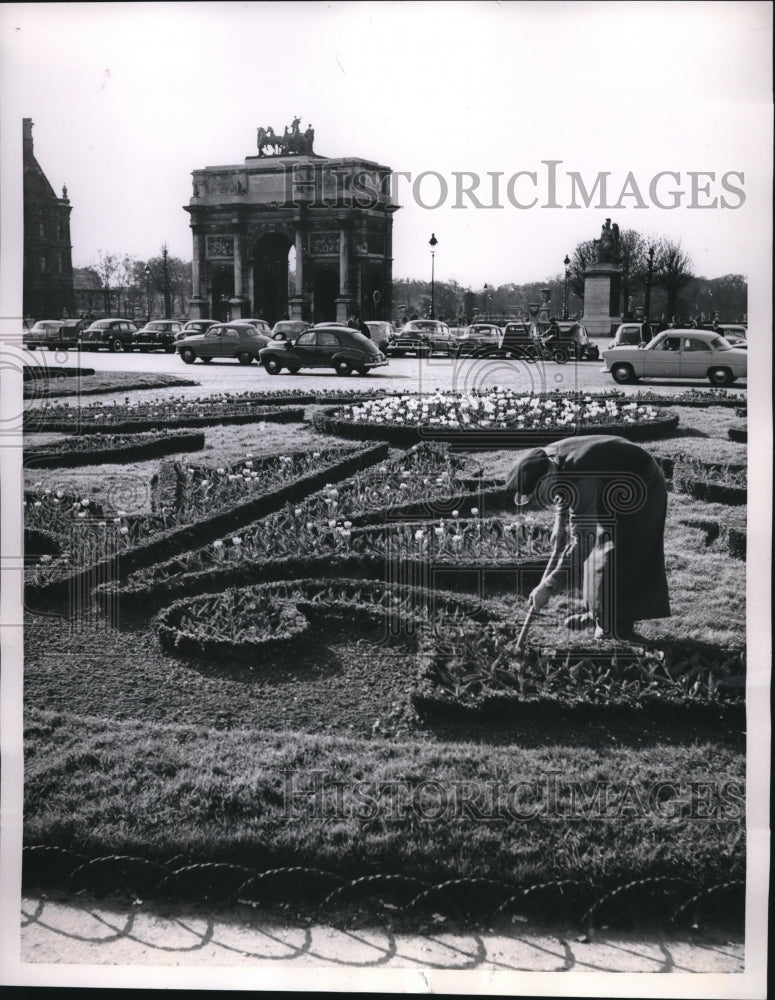 1957 Press Photo Spring at Famous Louvre Gardens in Paris Artistic Floral Design - Historic Images