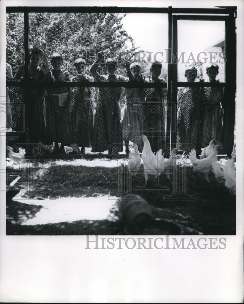 1955 Press Photo Boys Observe Chicken Coop At School Near Bagdhad Iraq - Historic Images