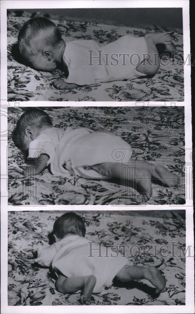 1954 Press Photo Edward Alvin Williamson Crawling at Two Months Old - Historic Images