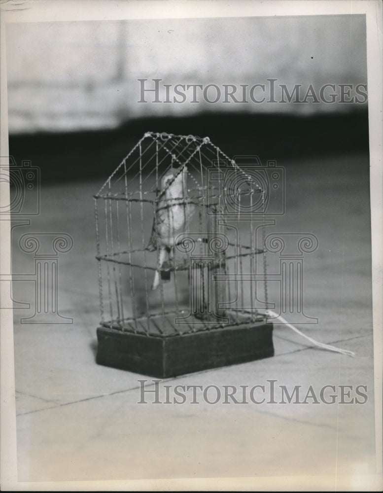 1939 Press Photo Little Toy Bird In Gilded Cage From 19th Century - Historic Images