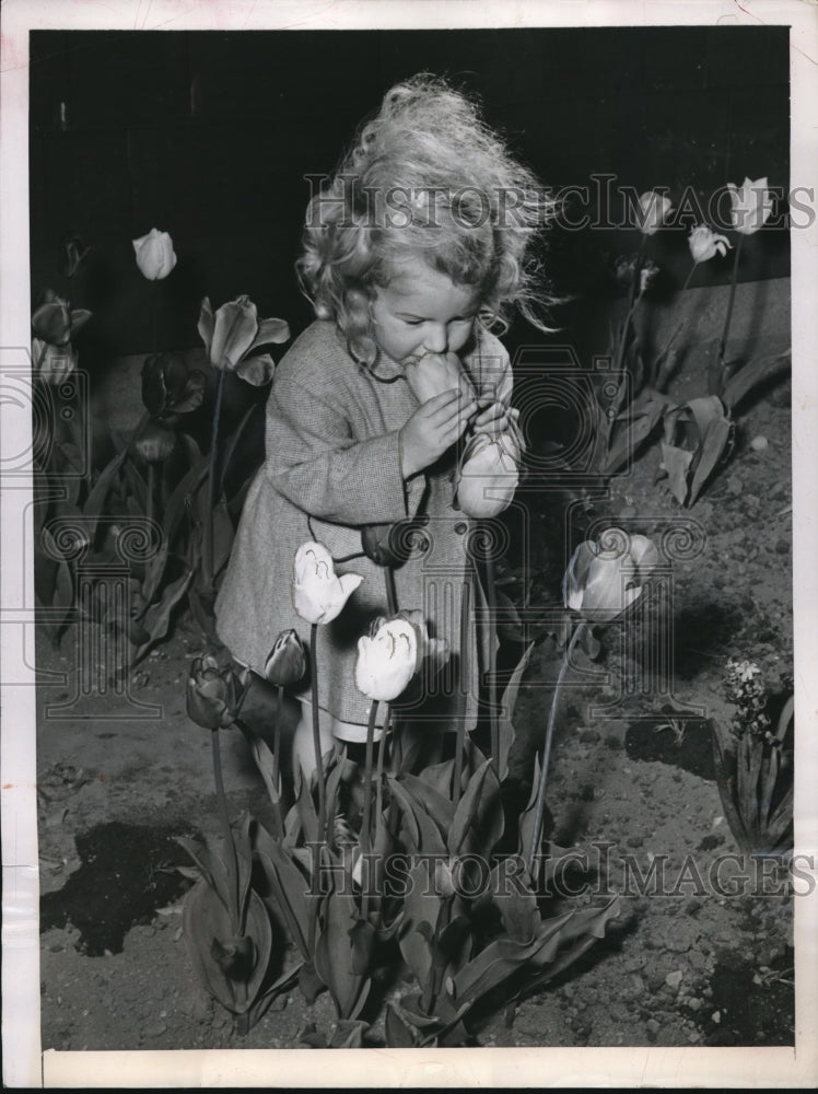 1949 Press Photo Jean Clifford Age 2 Smelling the Tulips - Historic Images