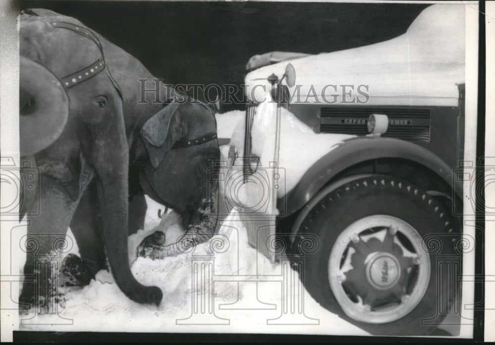 1958 Press Photo Paterson New Jersey Elephant Pushing Truck From Snow - Historic Images