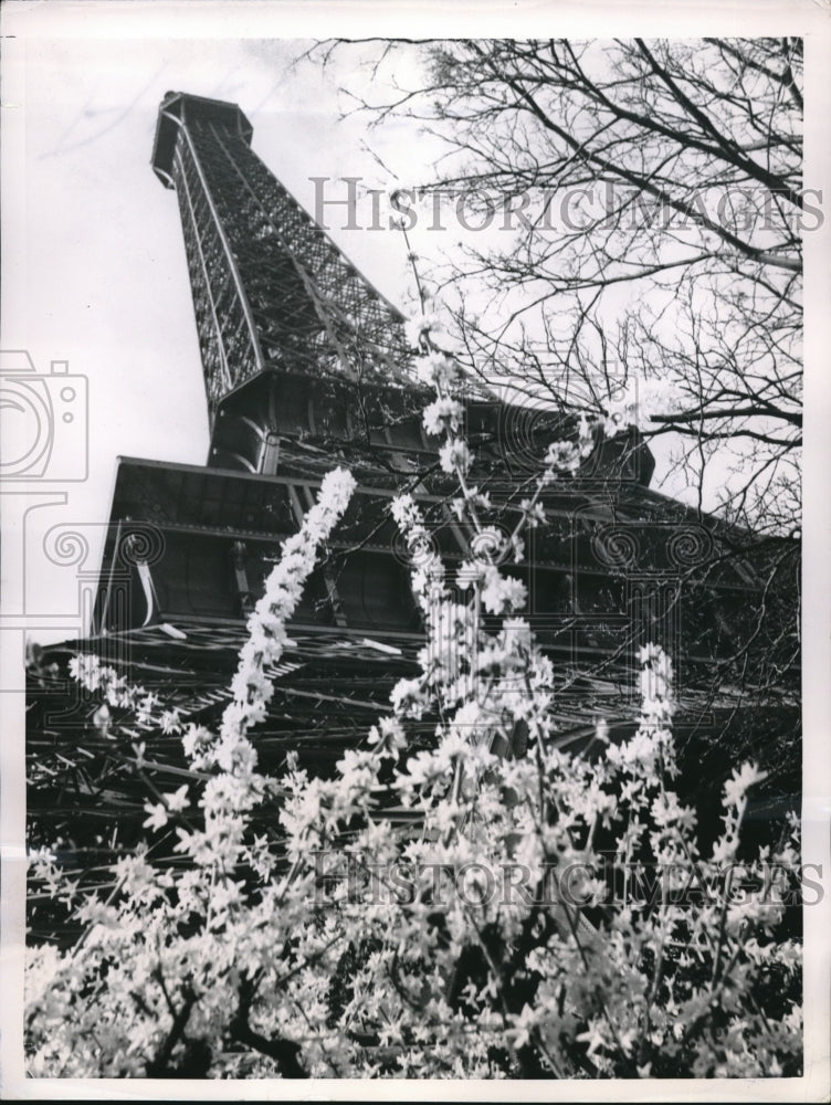 1955 Press Photo Eiffel Tower in Spring - Historic Images