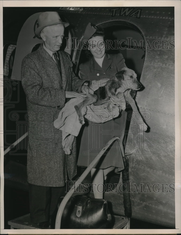 1941 Press Photo This dog misses his master who is in the army - Historic Images