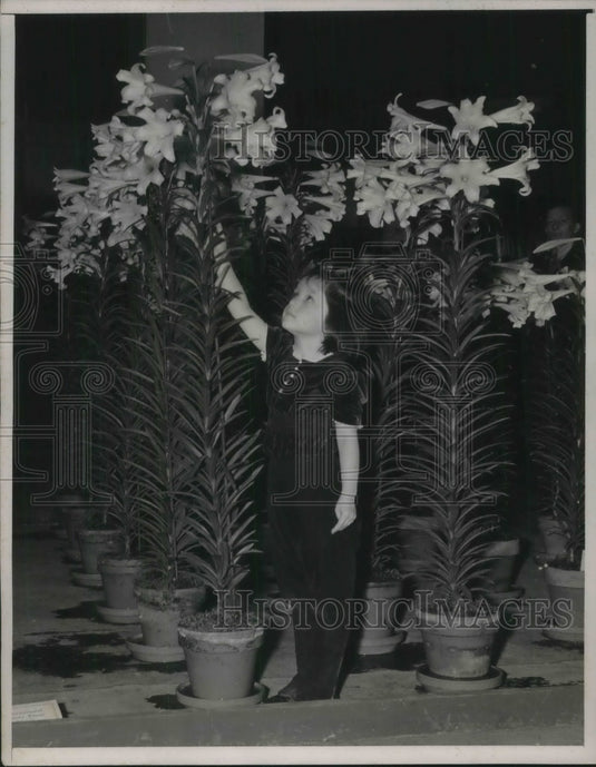 1939 Press Photo Beverly Gordon Age 5 Looking at Best & Tallest Lillie's in Show - Historic Images