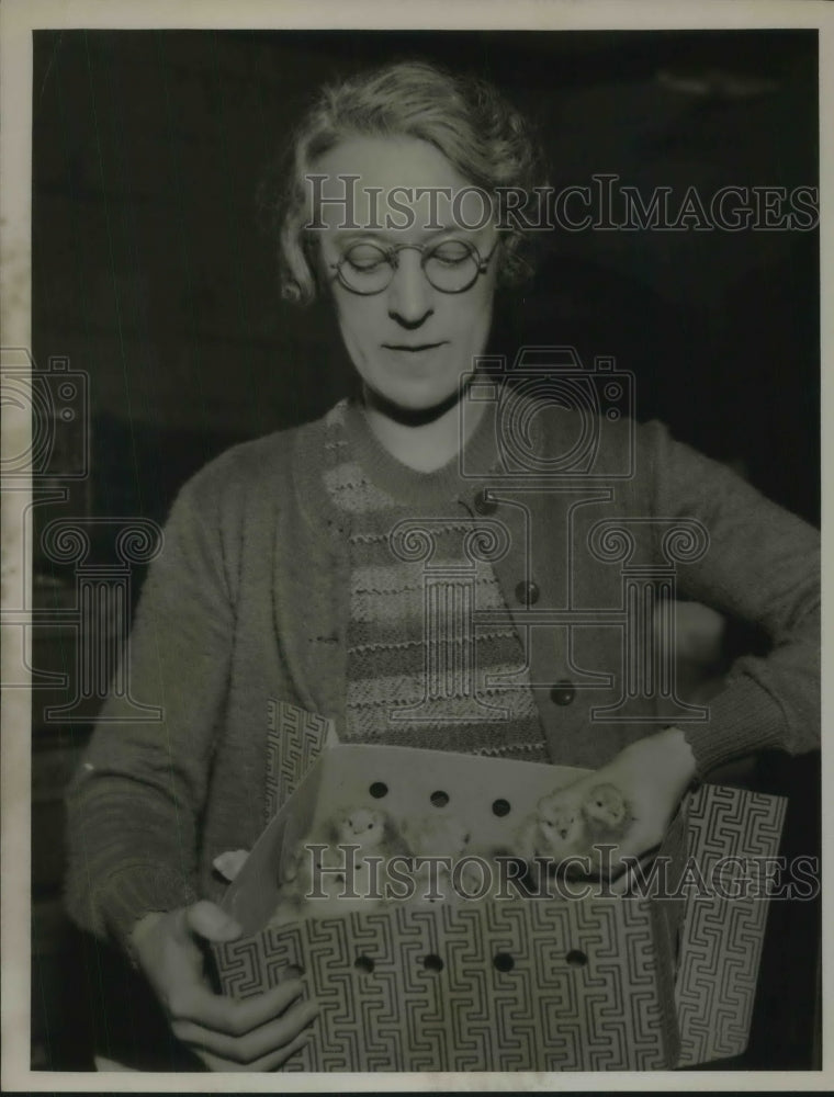 1934 Press Photo Mrs. Clara Dorenknott Holds Just-Hatched Cute Baby Chickens - Historic Images