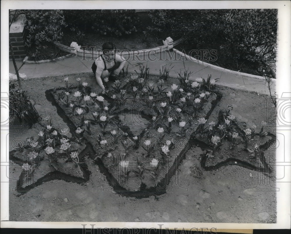 1943 Press Photo Wheeler Crawford at Age 4 by Tribute to Army Sons in Tulips - Historic Images