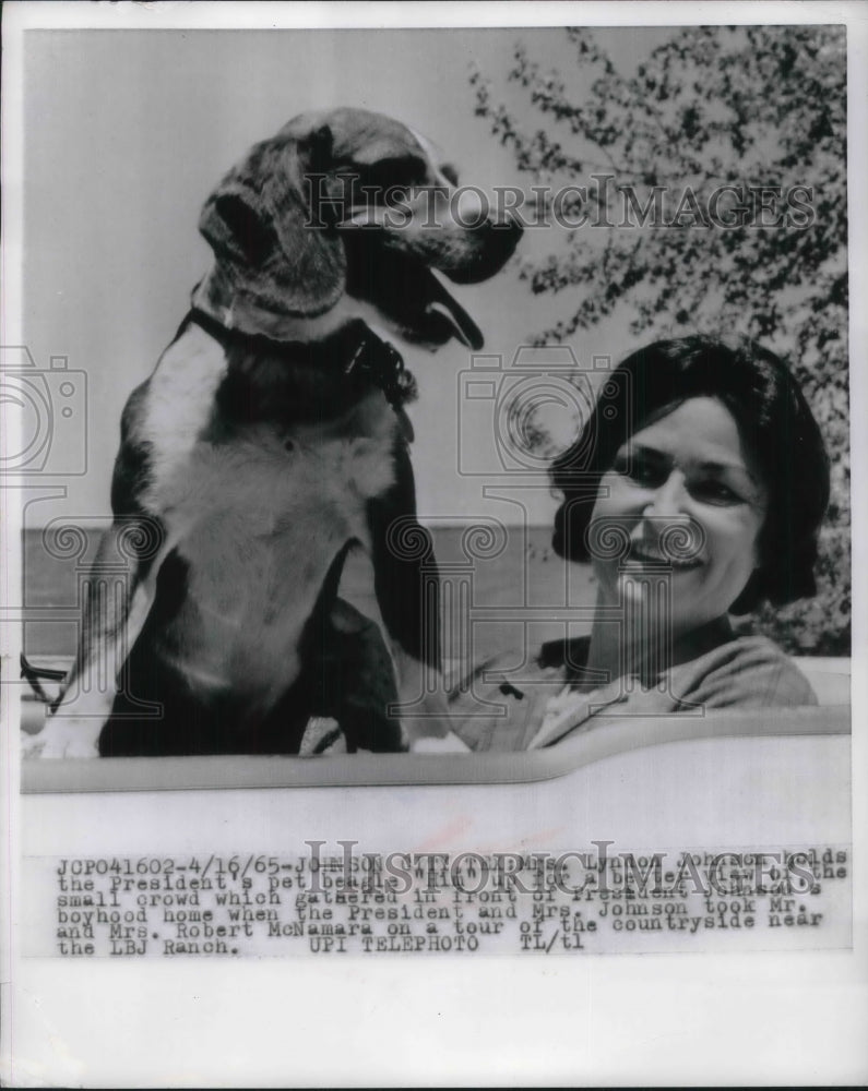 1965 Mrs. Lyndon Johnson &amp; pet beagle &quot;him&quot; at LBJs boyhood home - Historic Images